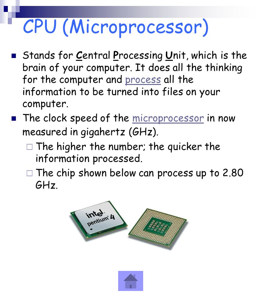 CPU (Microprocessor)