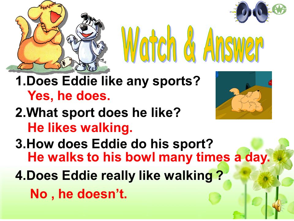 Watch & Answer Does Eddie like any sports What sport does he like