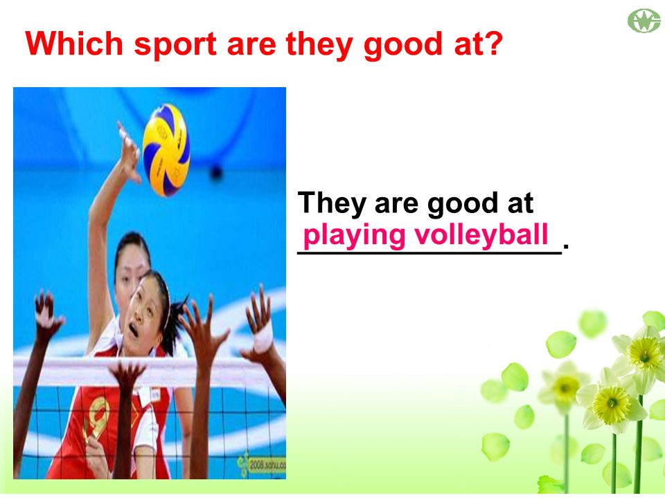 Which sport are they good at