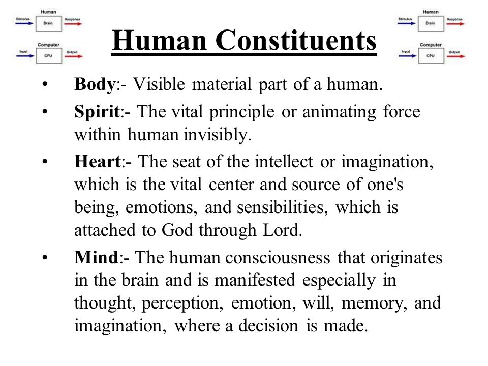 Human Constituents Body:- Visible material part of a human.