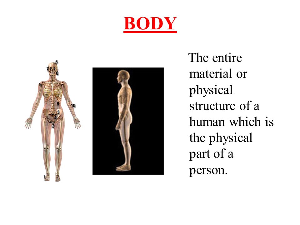 BODY The entire material or physical structure of a human which is the physical part of a person.