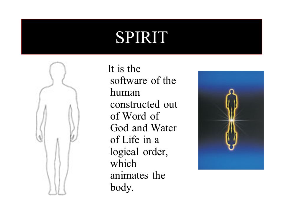 SPIRIT It is the software of the human constructed out of Word of God and Water of Life in a logical order, which animates the body.