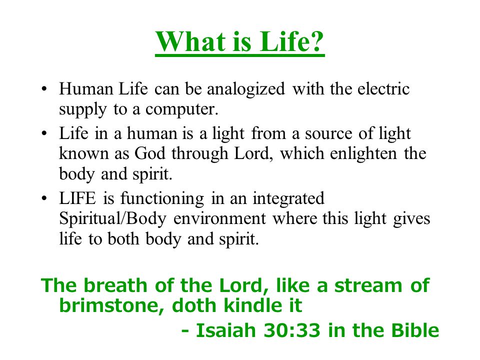 What is Life Human Life can be analogized with the electric supply to a computer.