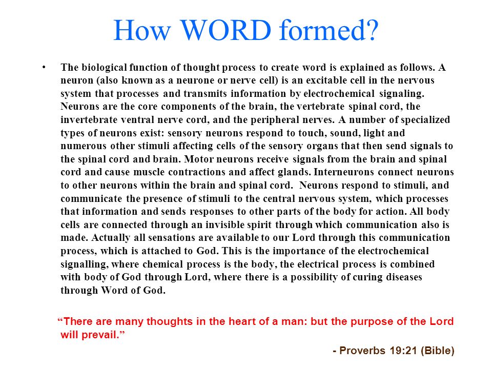 How WORD formed