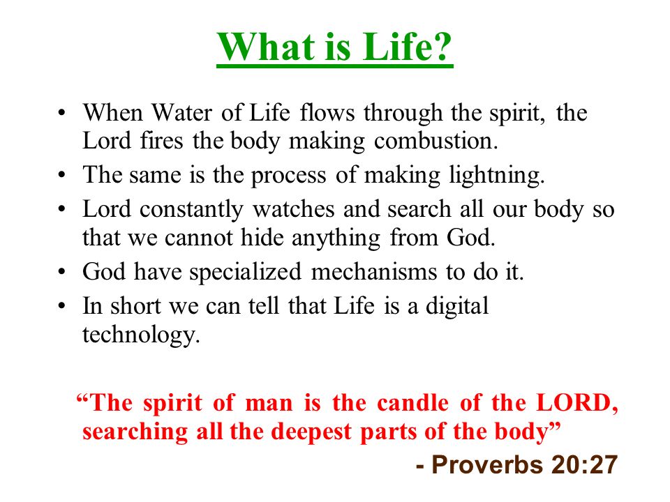 What is Life When Water of Life flows through the spirit, the Lord fires the body making combustion.