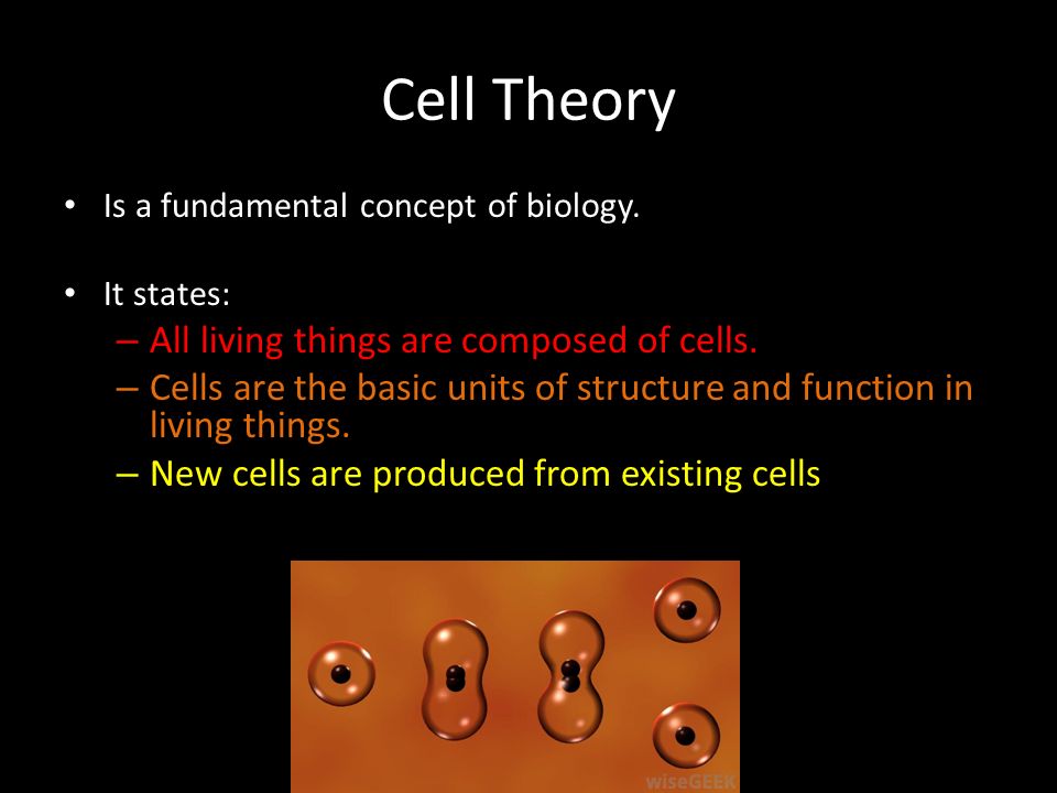Cell Theory All living things are composed of cells.