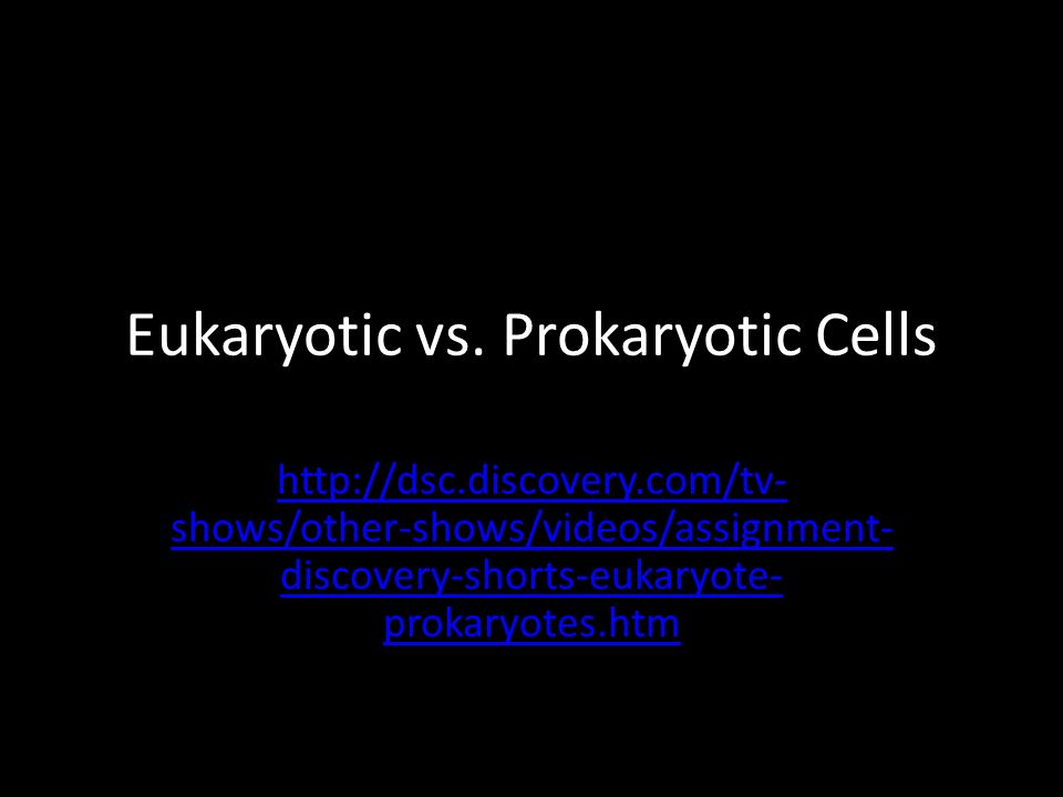 Eukaryotic vs. Prokaryotic Cells