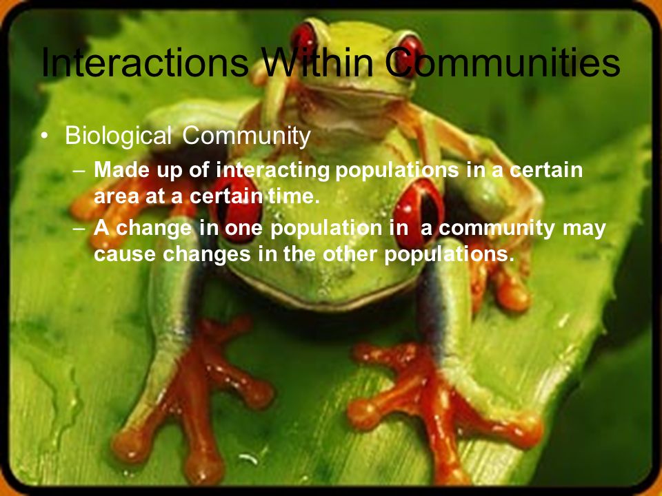 Interactions Within Communities