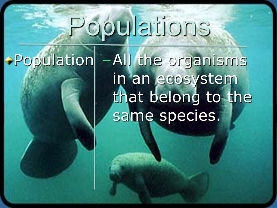 Populations Population