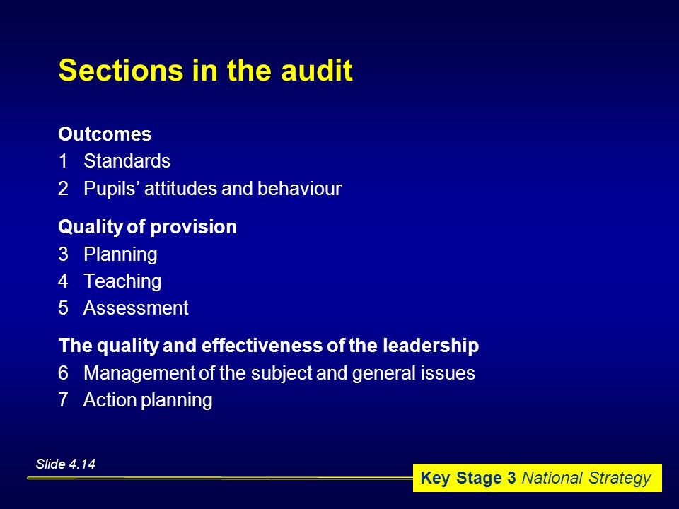 Sections in the audit Outcomes 1 Standards
