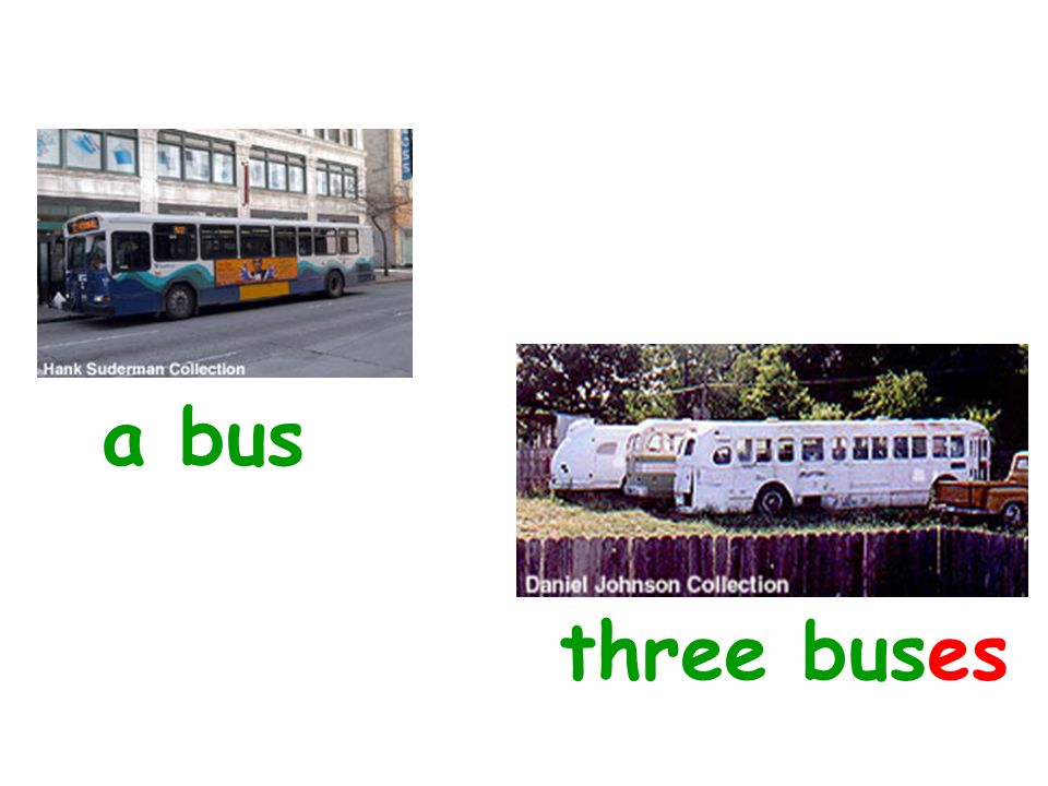a bus three buses