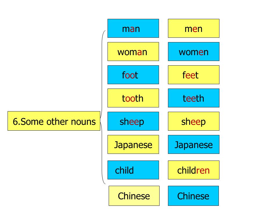 Japanese 6.Some other nouns. man. foot. sheep. woman. tooth. child. men. children. women. teeth.