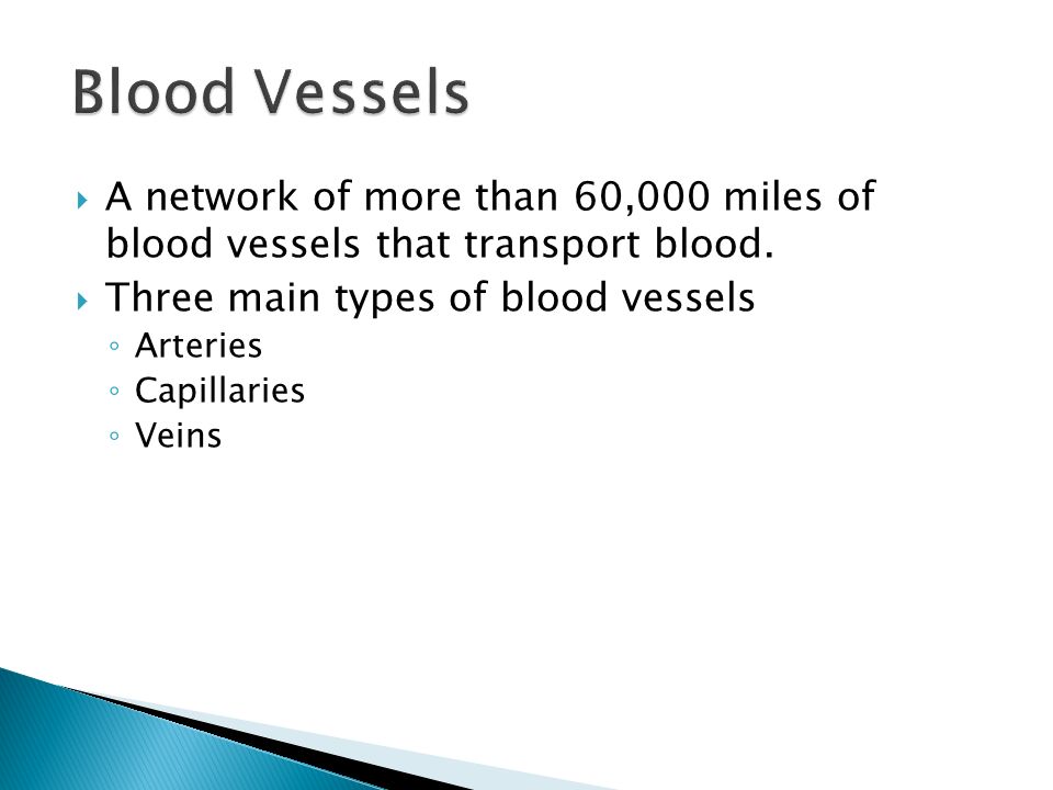Blood Vessels A network of more than 60,000 miles of blood vessels that transport blood. Three main types of blood vessels.