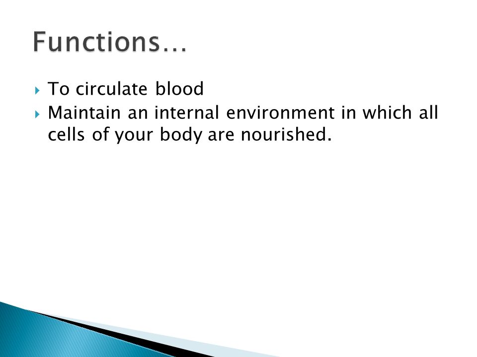 Functions… To circulate blood