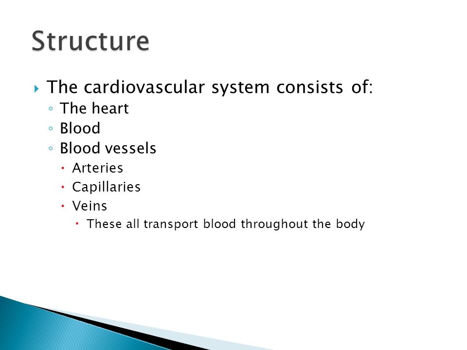 Structure The cardiovascular system consists of: The heart Blood