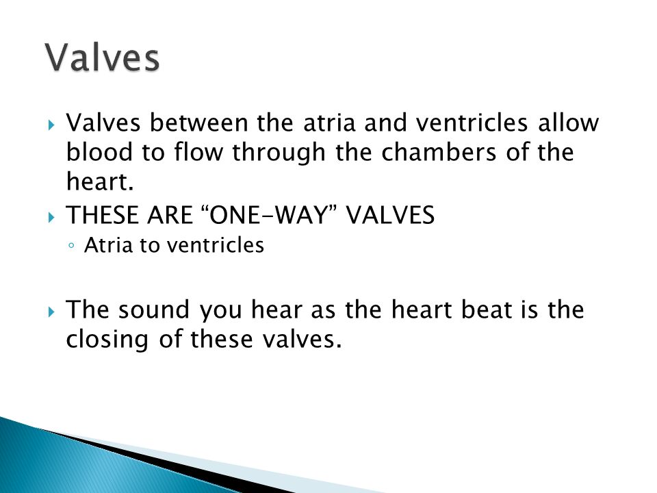Valves Valves between the atria and ventricles allow blood to flow through the chambers of the heart.
