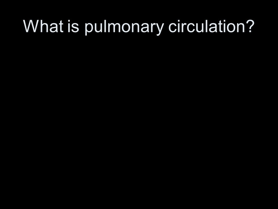 What is pulmonary circulation