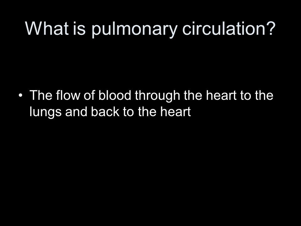 What is pulmonary circulation