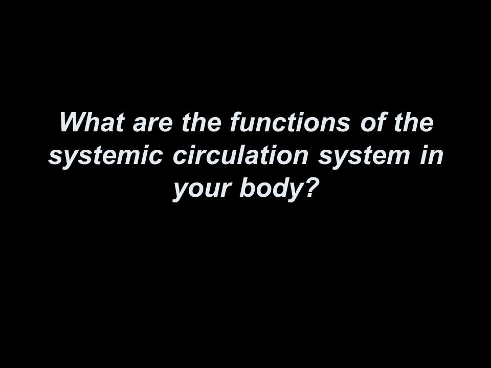 What are the functions of the systemic circulation system in your body