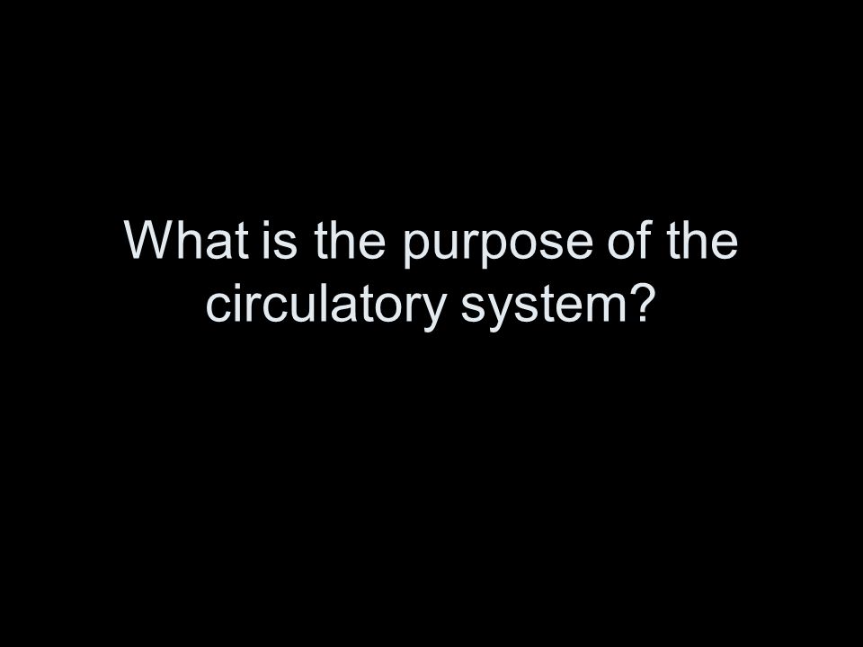 What is the purpose of the circulatory system
