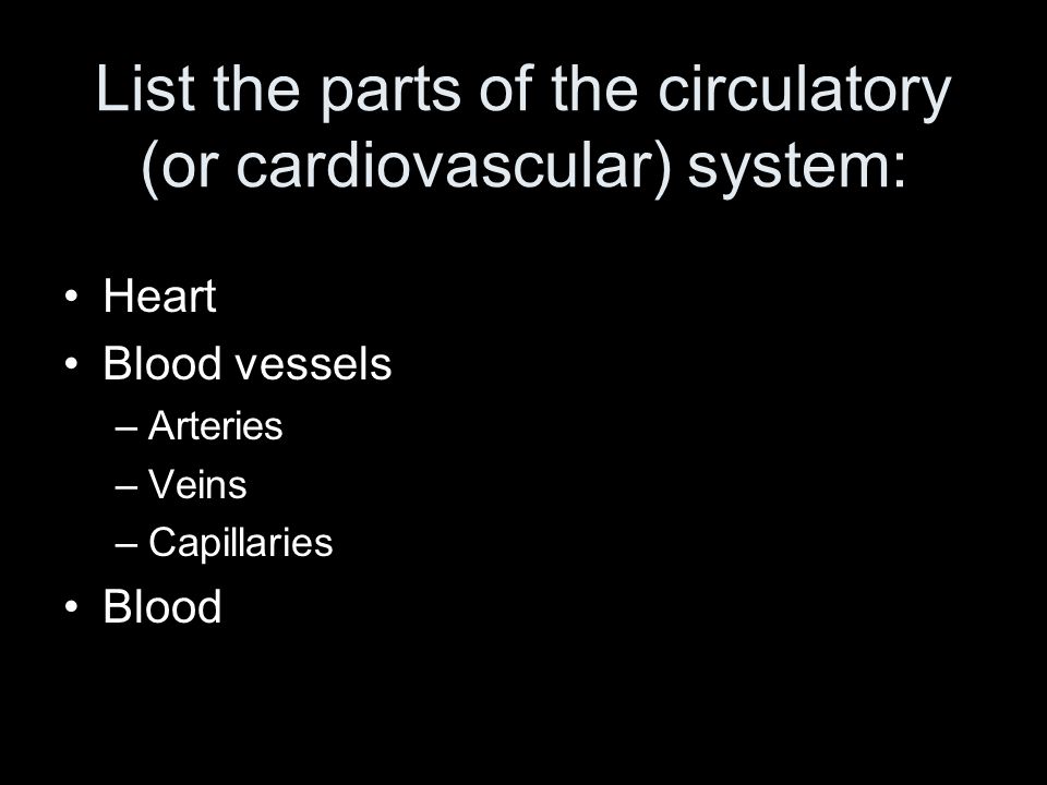 List the parts of the circulatory (or cardiovascular) system: