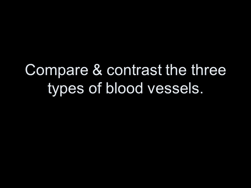 Compare & contrast the three types of blood vessels.