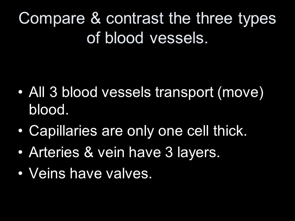 Compare & contrast the three types of blood vessels.