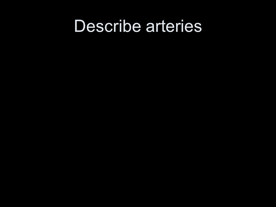 Describe arteries