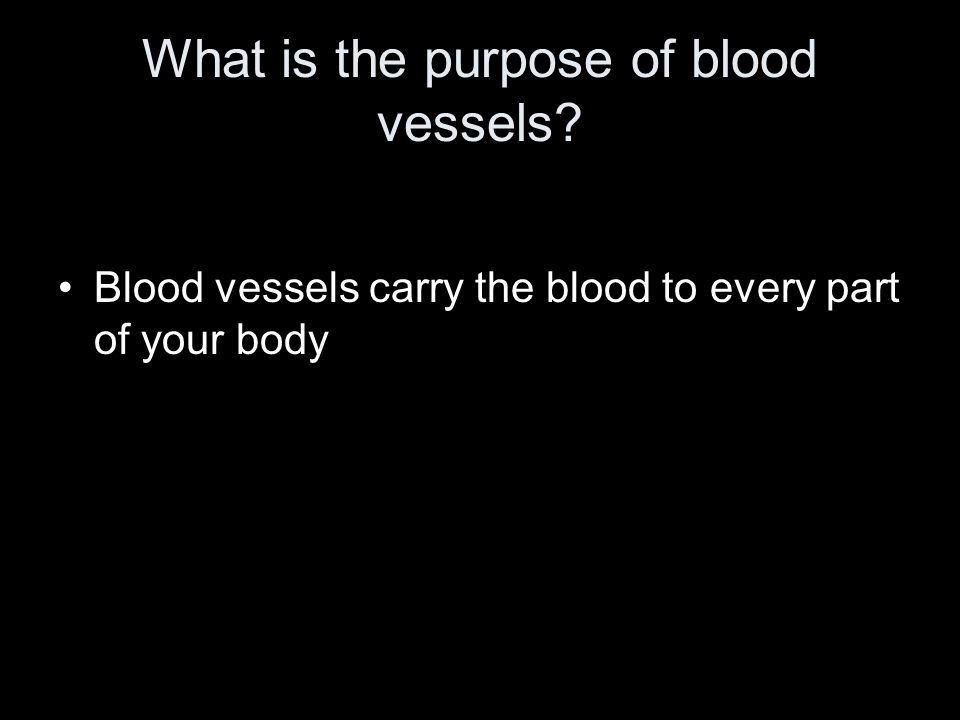 What is the purpose of blood vessels