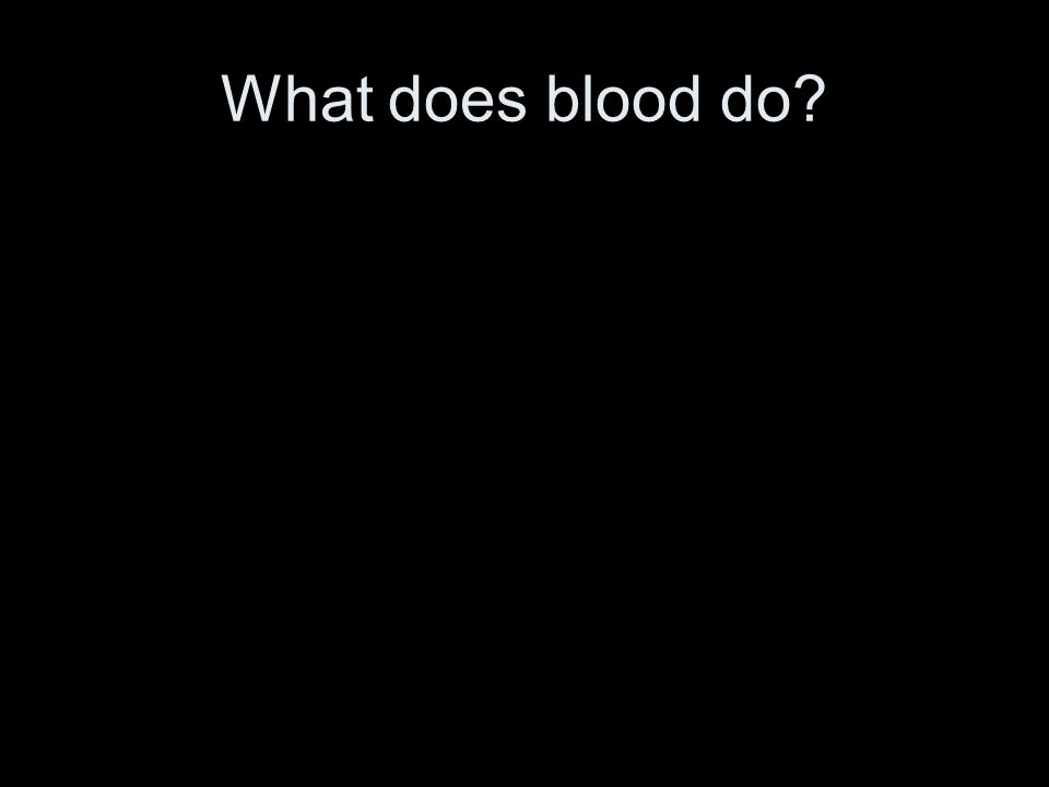 What does blood do
