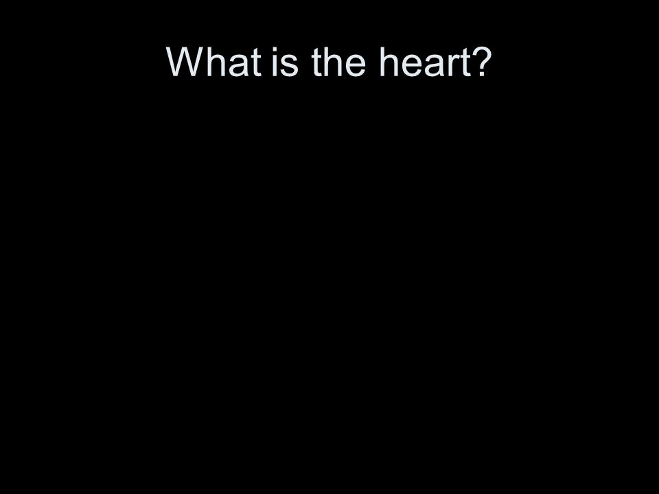 What is the heart