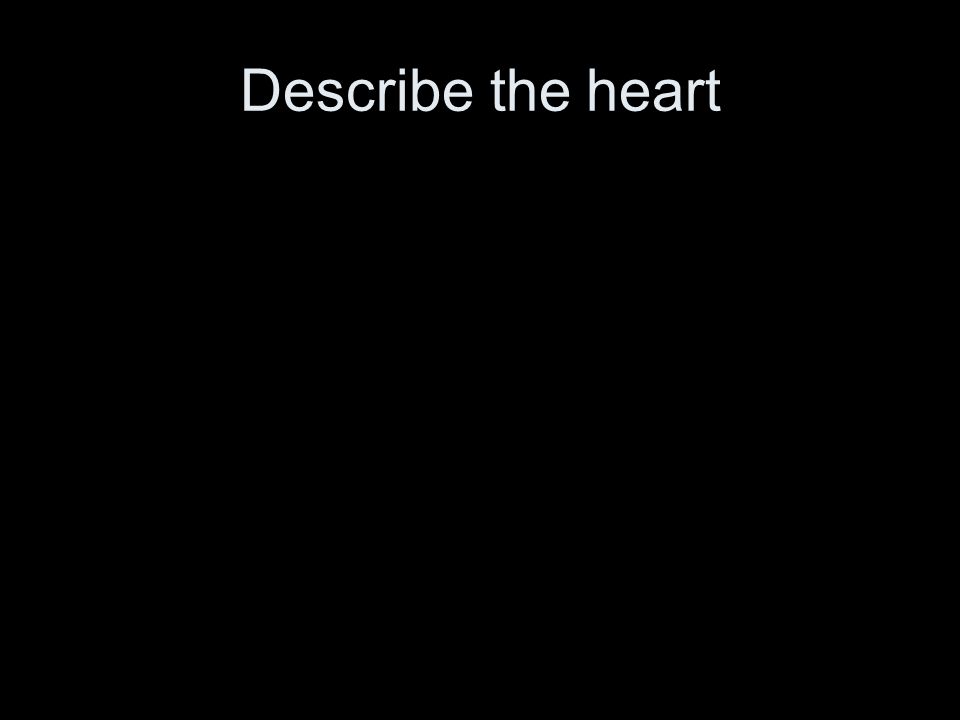 Describe the heart