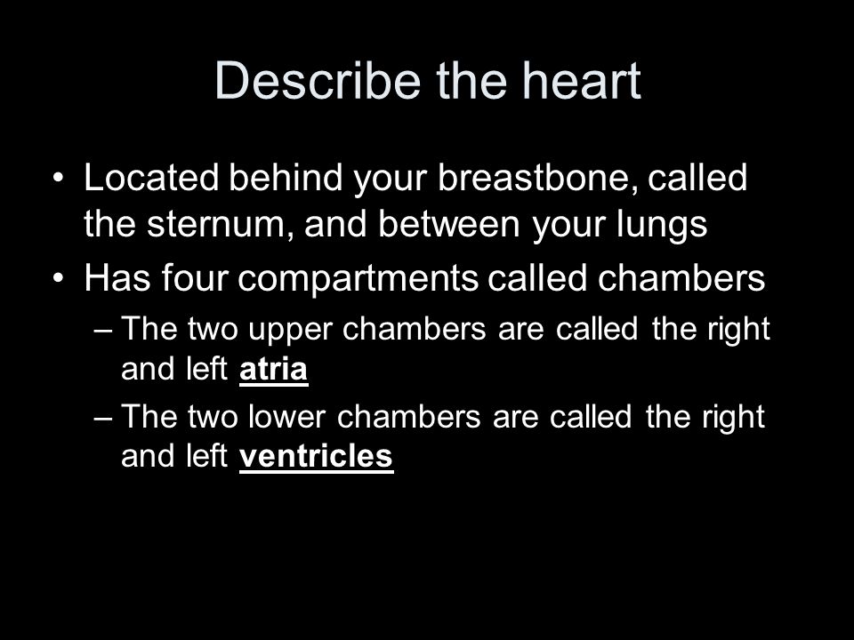 Describe the heart Located behind your breastbone, called the sternum, and between your lungs. Has four compartments called chambers.