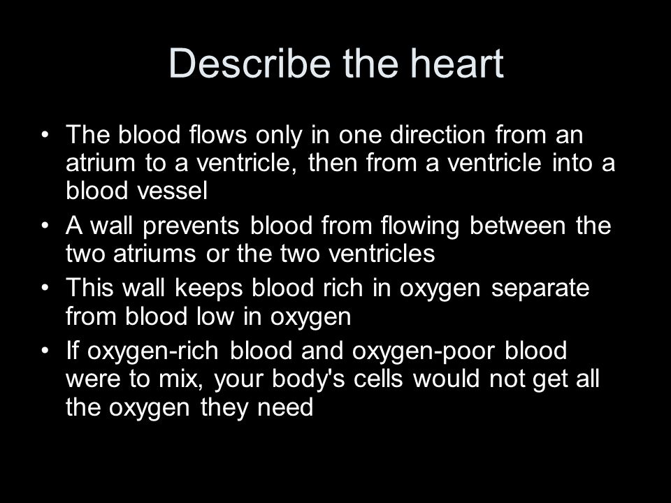 Describe the heart The blood flows only in one direction from an atrium to a ventricle, then from a ventricle into a blood vessel.