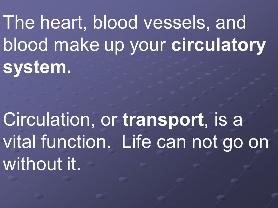 The heart, blood vessels, and blood make up your circulatory system.