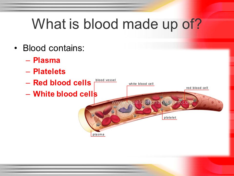 What is blood made up of Blood contains: Plasma Platelets