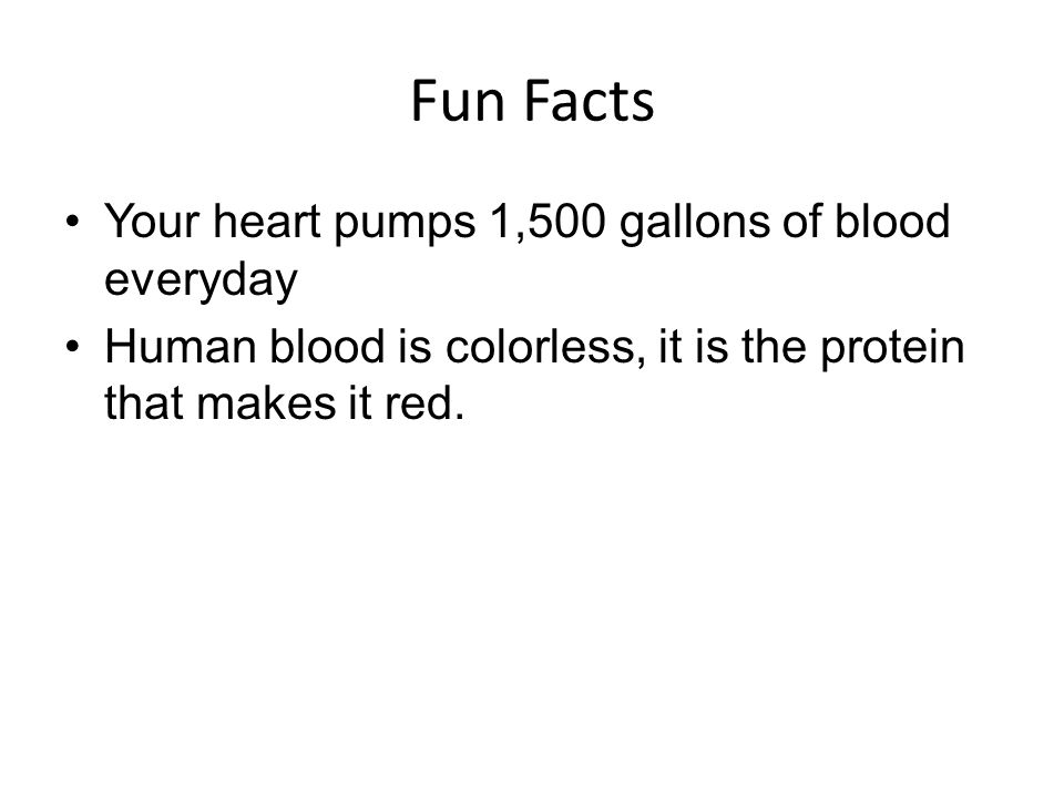 Fun Facts Your heart pumps 1,500 gallons of blood everyday