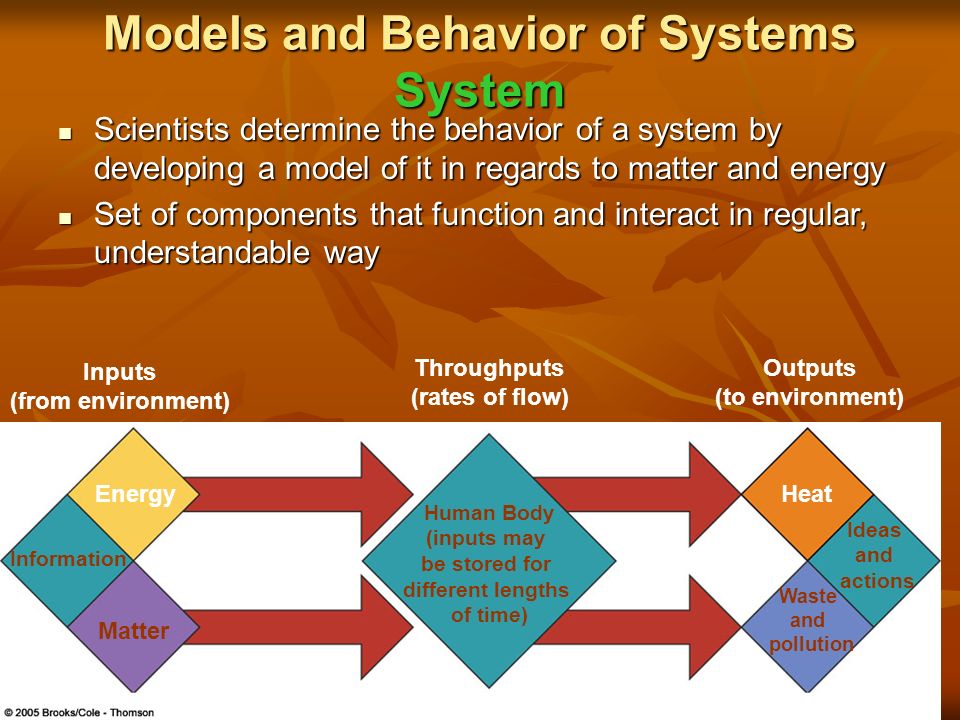 Models+and+Behavior+of+Systems+System.jp