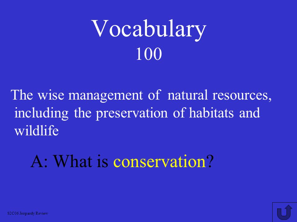 Vocabulary 100 A: What is conservation