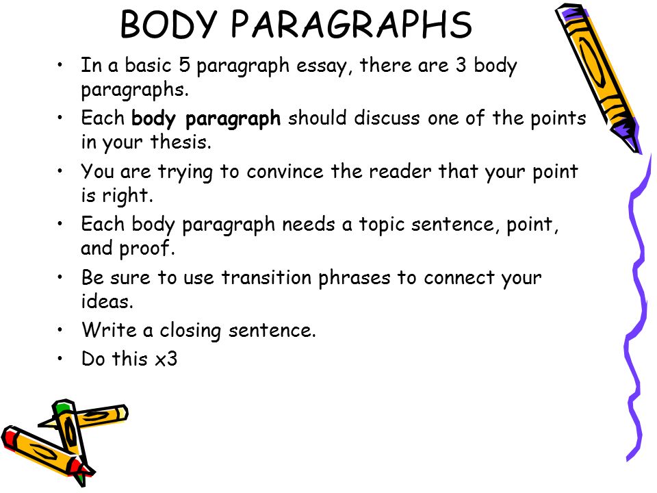 BODY PARAGRAPHS In a basic 5 paragraph essay, there are 3 body paragraphs. Each body paragraph should discuss one of the points in your thesis.