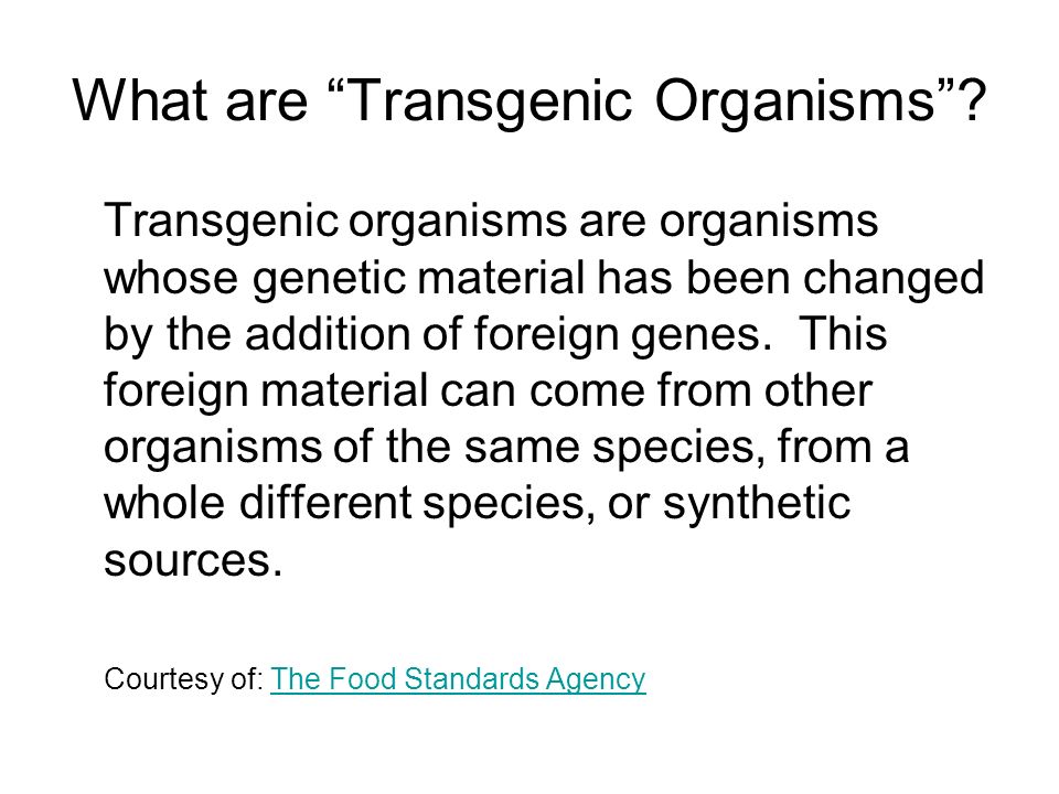 What are Transgenic Organisms