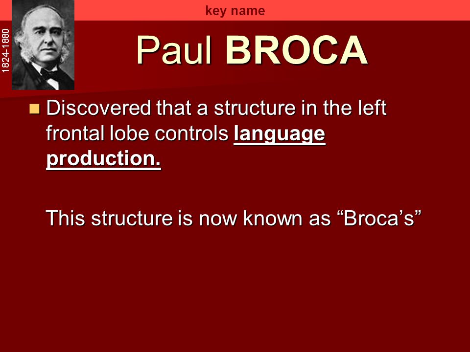 key name Paul BROCA Discovered that a structure in the left frontal lobe controls language production.