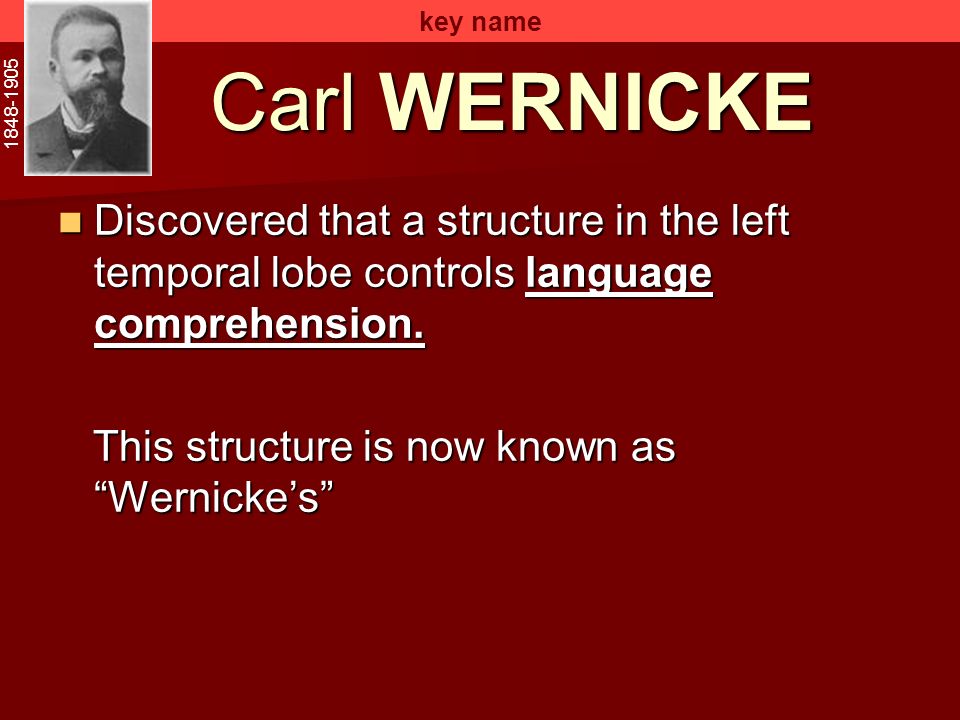 key name Carl WERNICKE Discovered that a structure in the left temporal lobe controls language comprehension.
