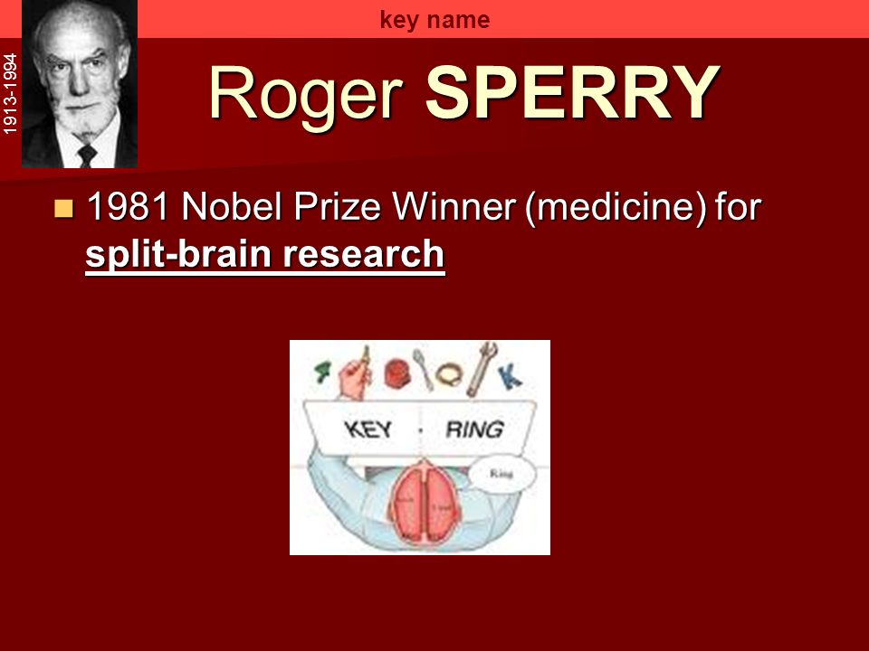 key name Roger SPERRY Nobel Prize Winner (medicine) for split-brain research