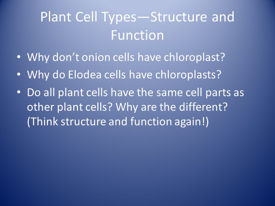 Plant Cell Types—Structure and Function
