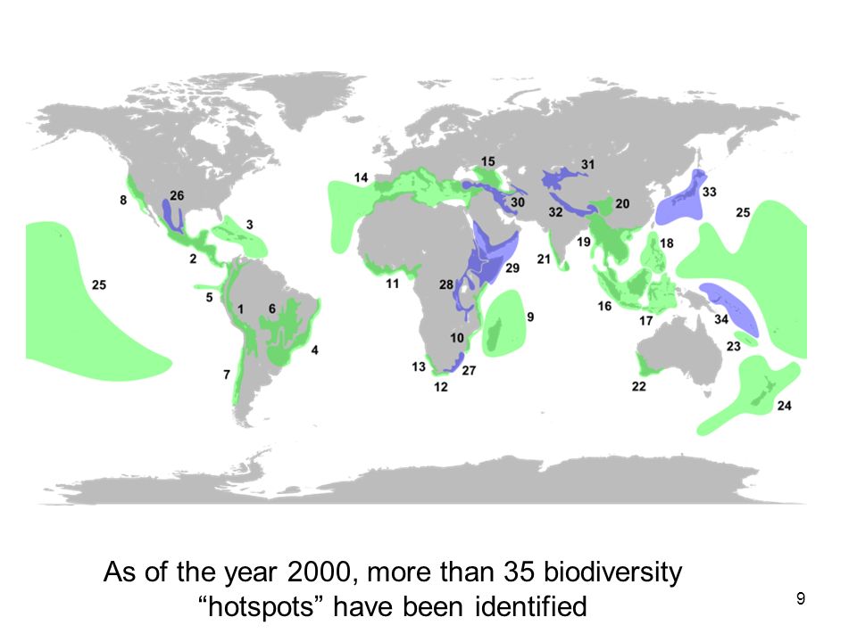 As of the year 2000, more than 35 biodiversity hotspots have been identified