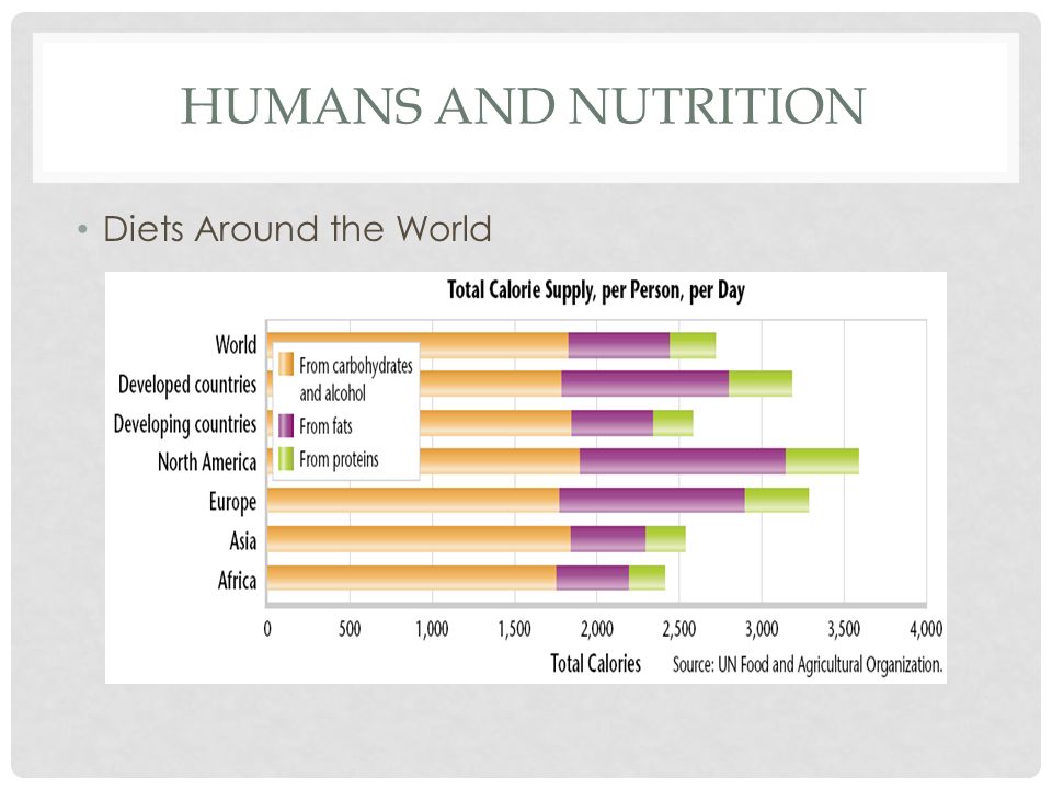 Humans and Nutrition Diets Around the World
