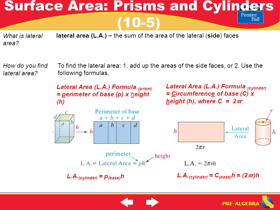 Surface Area: Prisms and Cylinders