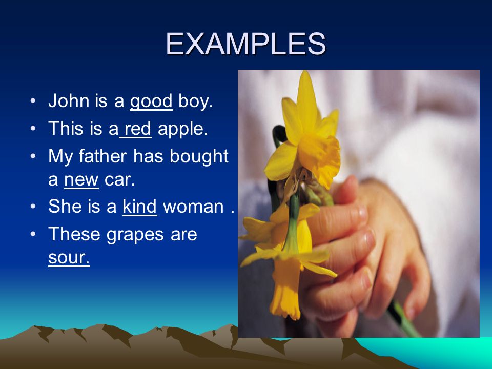 EXAMPLES John is a good boy. This is a red apple.