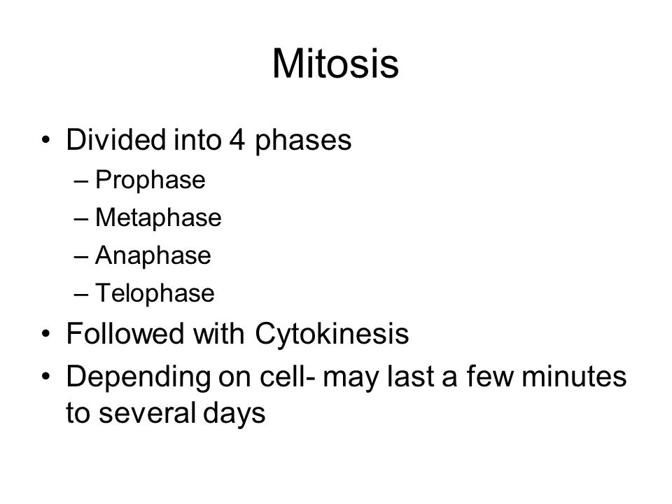 Mitosis Divided into 4 phases Followed with Cytokinesis
